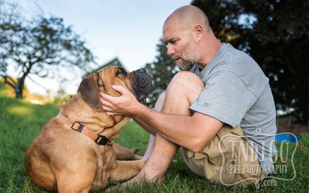Brutus and his dad in Beamsville