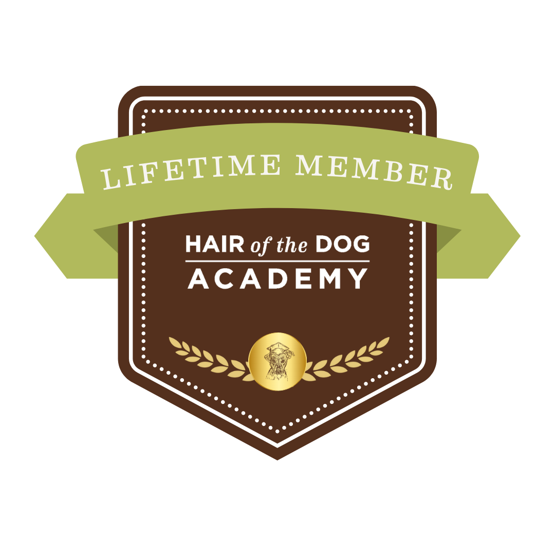 423619399_375549221942561_3774825246011822168_n International Pet Photographer of the Year Top 100 Action