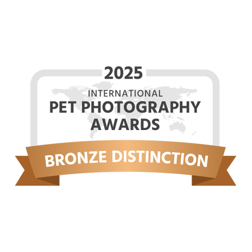 IPPA-2025-award-bronze-distinction-dark Pro Member of the Pet Photographer's Club