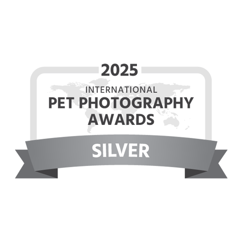 IPPA-2025-award-silver-dark