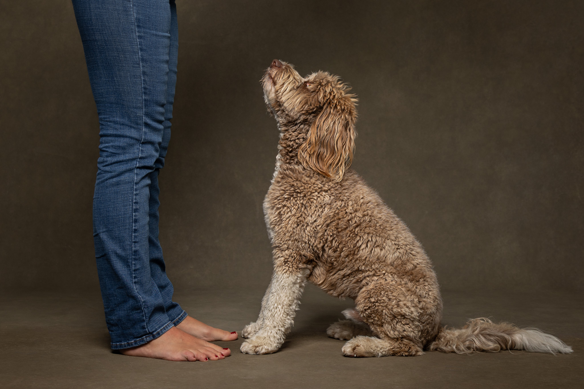 dog and mom facing each other with dog looking up at mom in st. catharines studio