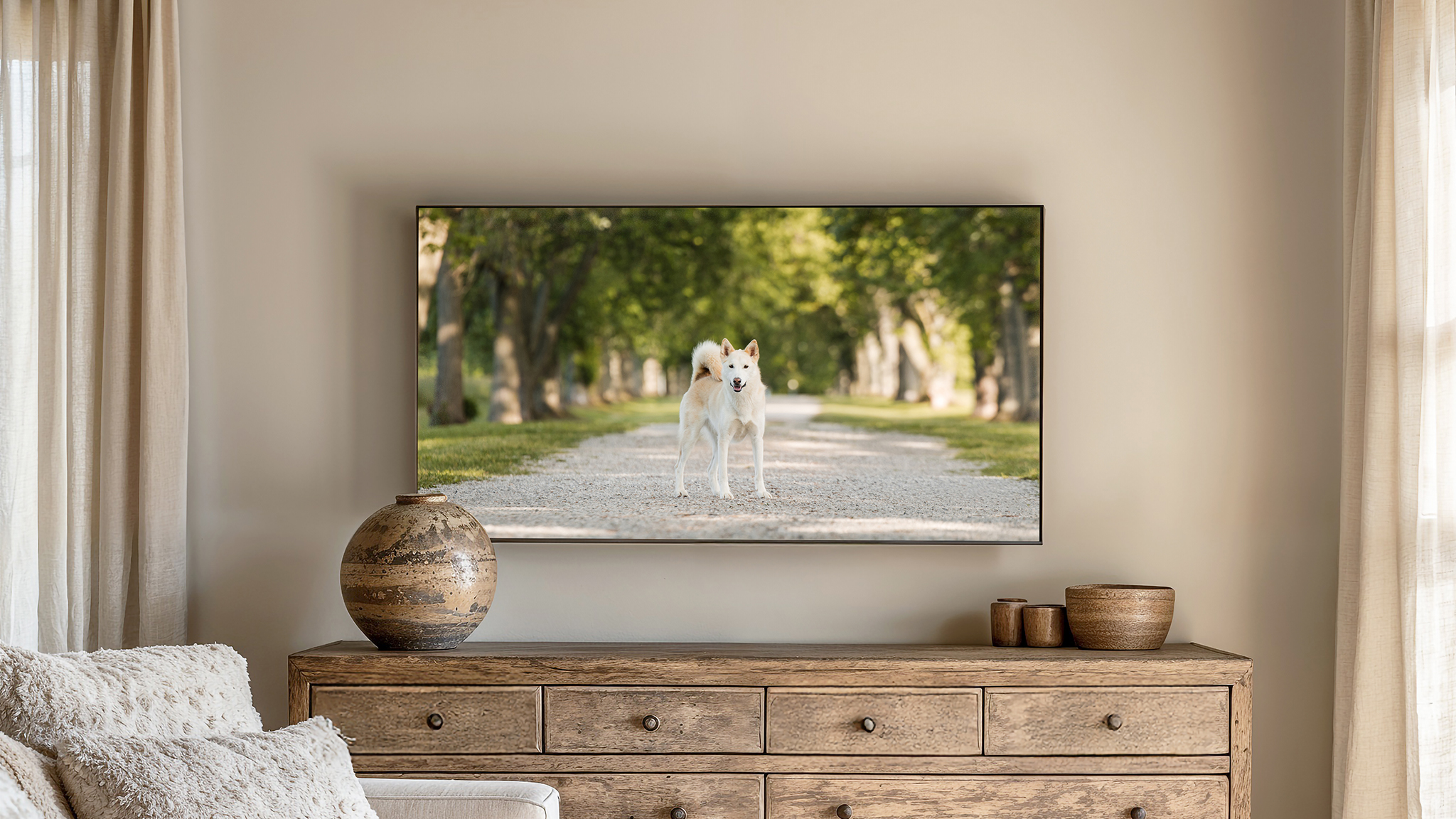 dog on path in The Commons in Niagara on the Lake