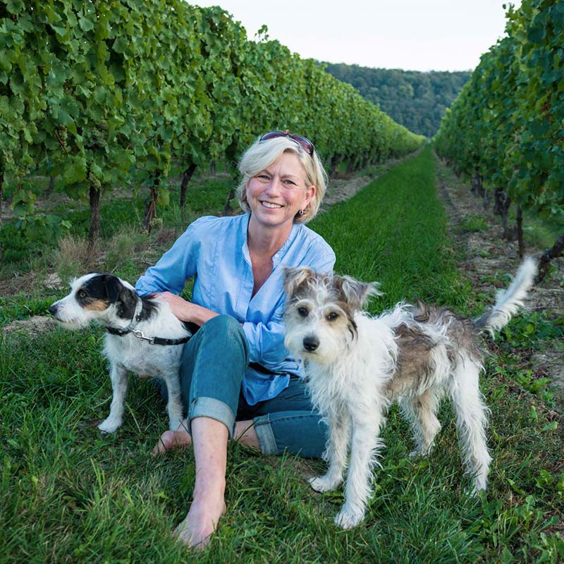 two terriers paws on crate in studio in st catharines