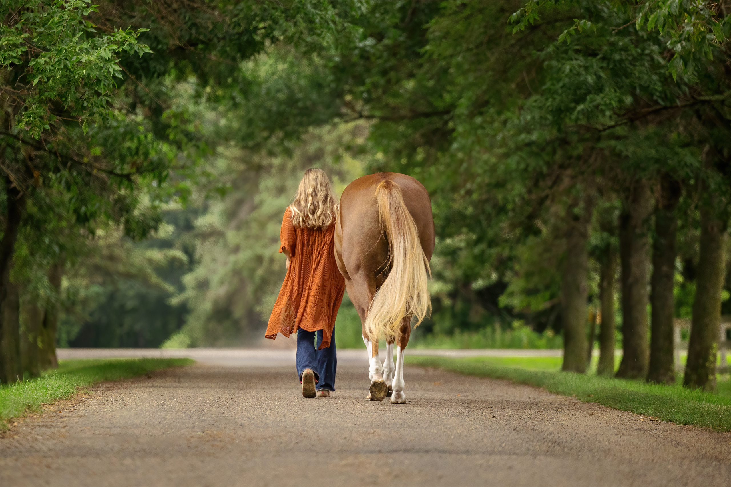 photography of woman walking horse down dirt drive lined with trees