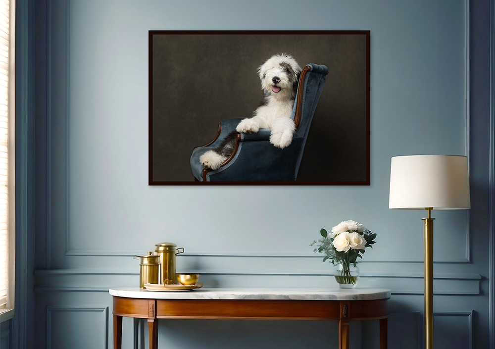 framed artwork of old english sheepdog puppy in studio with niagara dog photographer