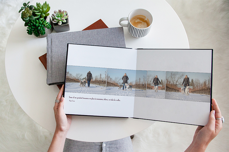 example of a spread of pages from a storybook featuring a Niagara winter photo session