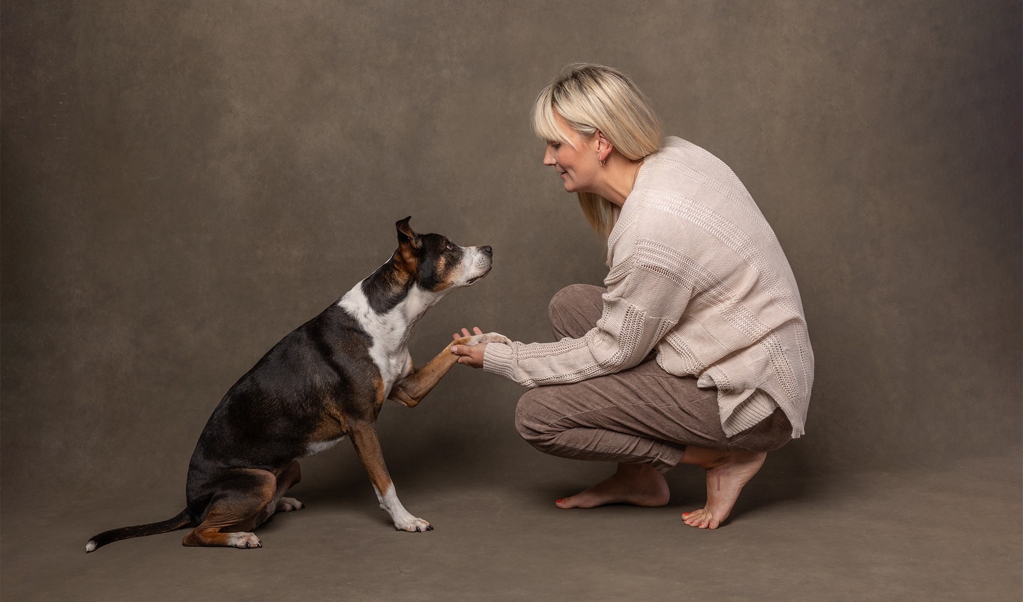 dog placing paw in woman's hand and looking into her eyes in studio in st catharines indigo pet photography