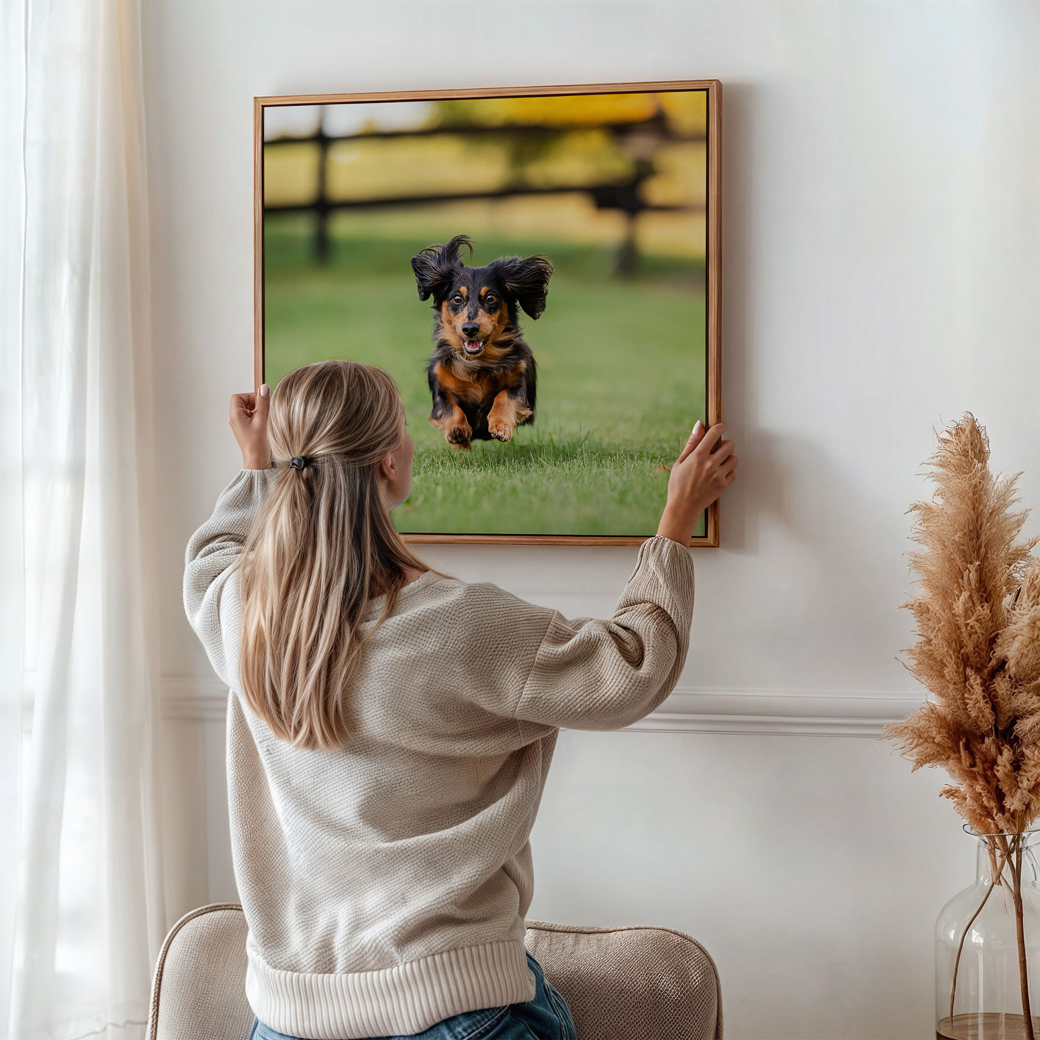 black and tan dachshund flying thru air in Vineland ON