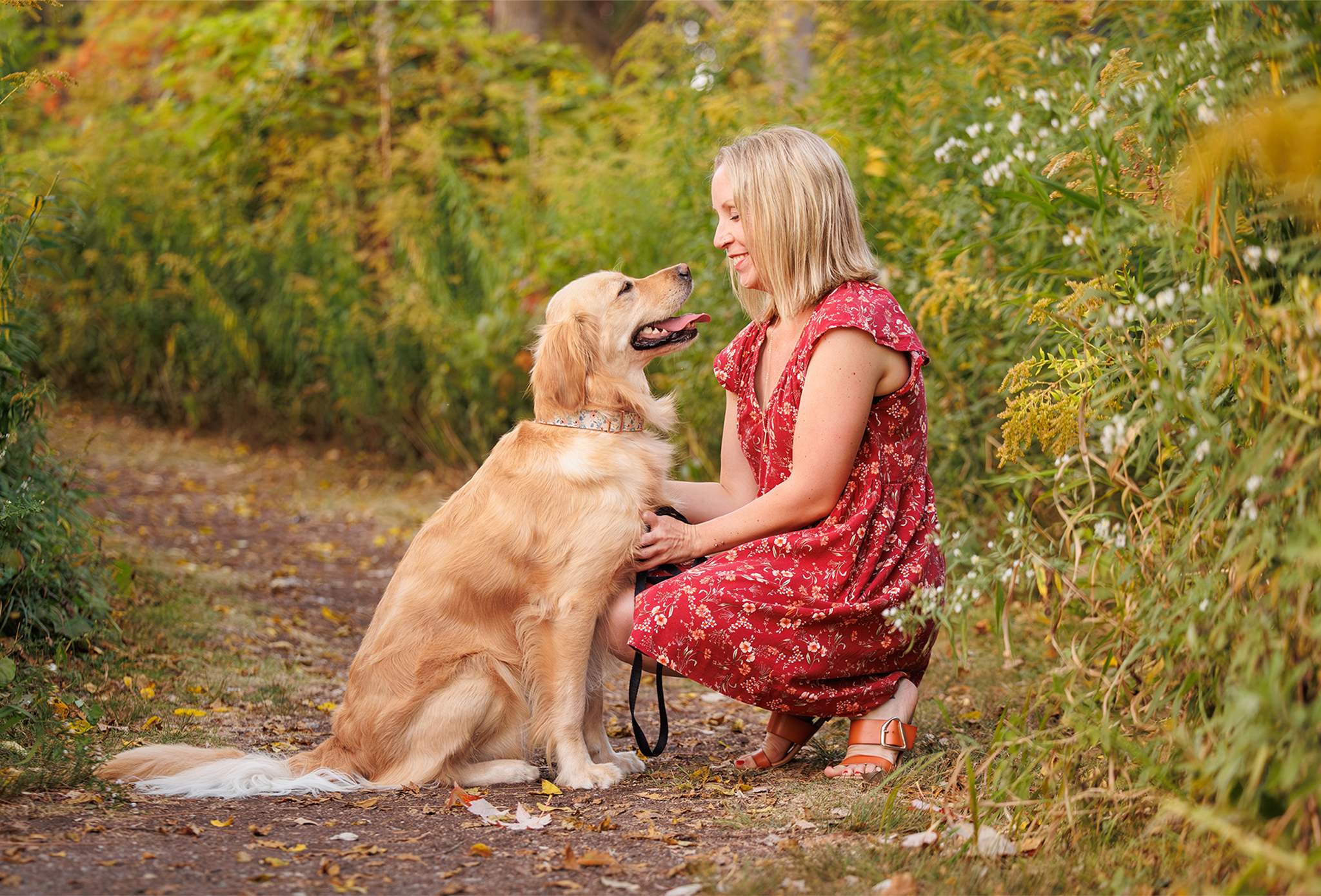 woman and her golden retriever connecting at paleta park burlington in fall