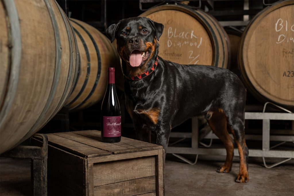 Rottweiler standing beside a bottle of Pearl Morissette wine in the barrel cellar at Featherstone Winery