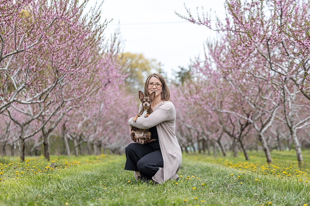 Woman in neutral tones holding her Chihuahua in a pink peach blossom orchard in Beamsville showing what to wear for a dog photography session