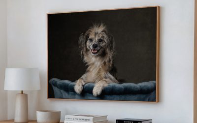 What Does Professional Dog Photography Actually Cost in Niagara?