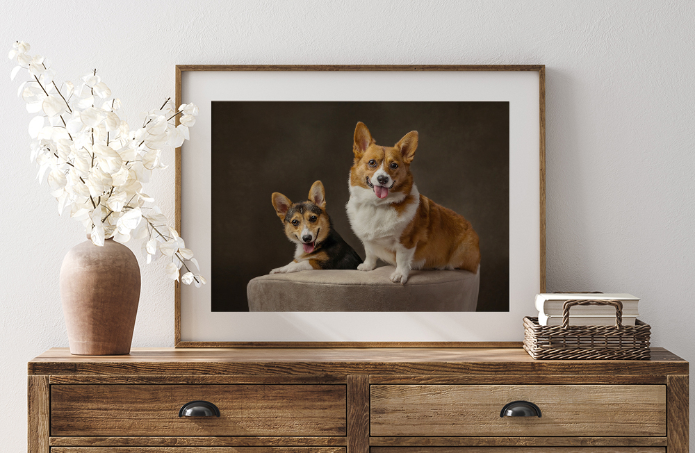 Framed portrait of two corgis on a dresser, custom pet photography artwork by Indigo Pet Photography Niagara
