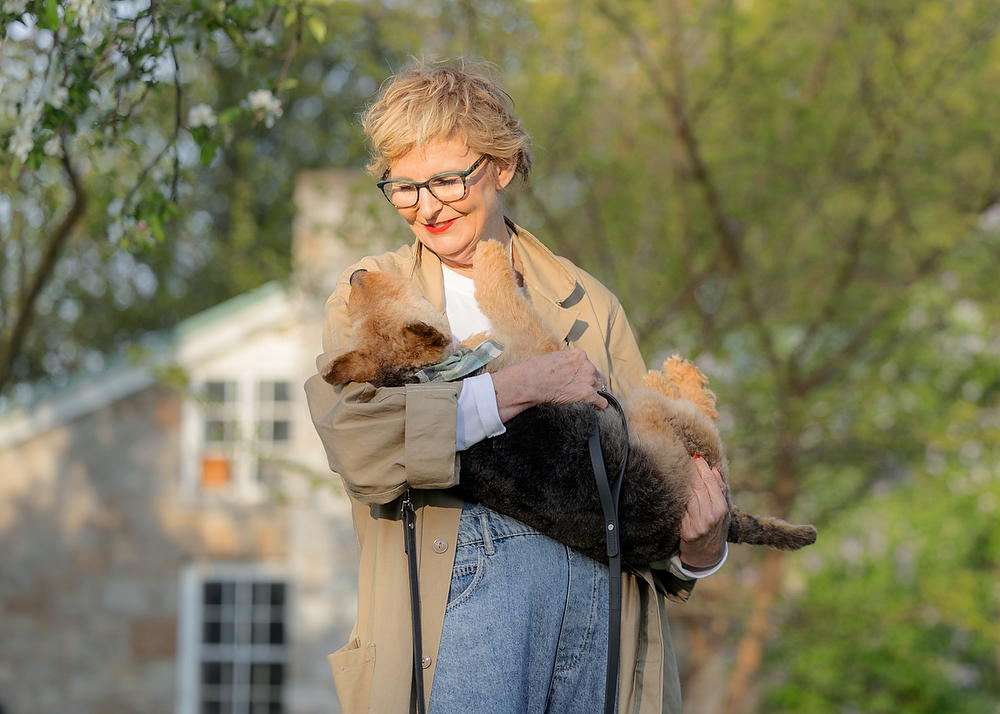 Woman in a classic trench coat cuddling her small Terrier near a stone heritage building in Niagara-on-the-Lake