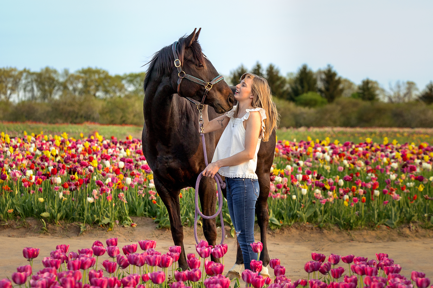 Young woman laughing with her dark horse surrounded by vibrant tulips at a Niagara tulip farm spring photography session